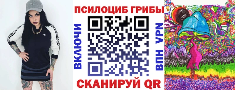 Купить где  Топки  Псилоцибиновые грибы Magic Shrooms 